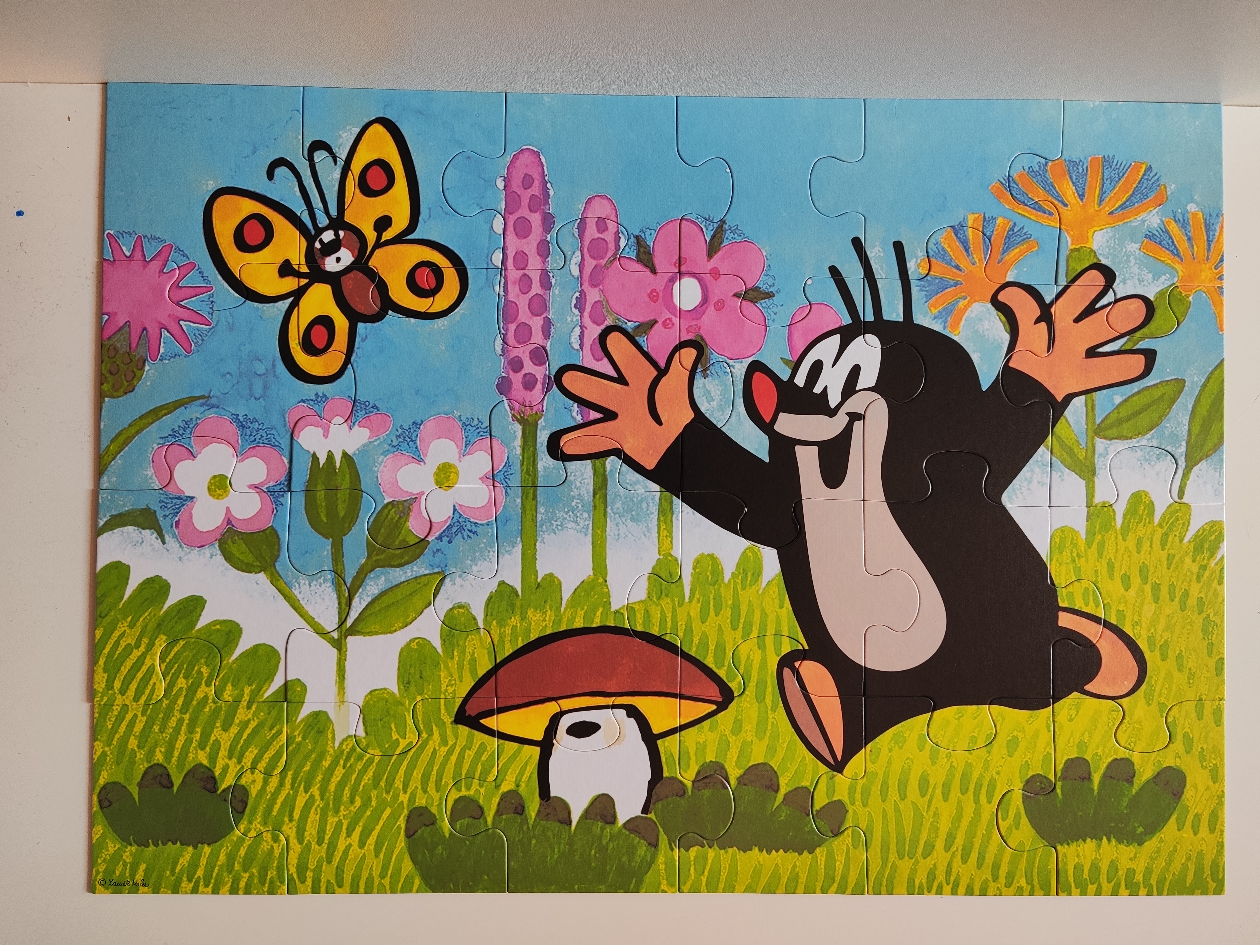 Složené puzzle MAXI 24 dílků